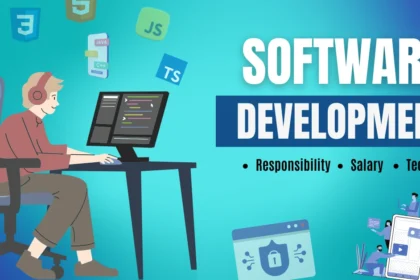 Software Developer