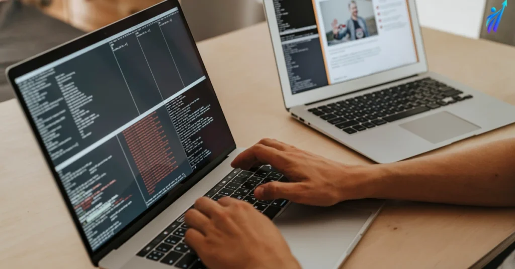 Software Developer