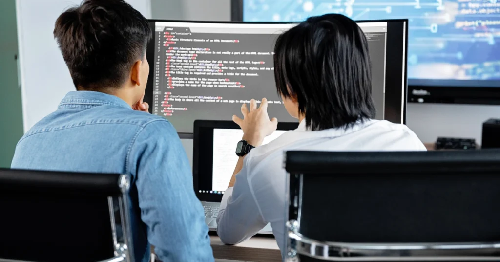 Software Developer