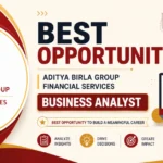 Business Analyst