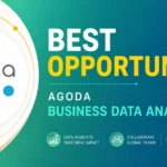 Business Data Analyst