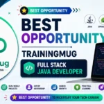 Java Full Stack Developer