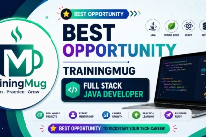 Java Full Stack Developer